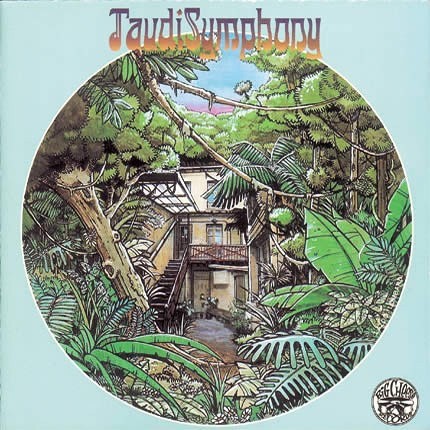 Taudi Symphony : Taudi Symphony | LP / 33T  |  Afro / Funk / Latin