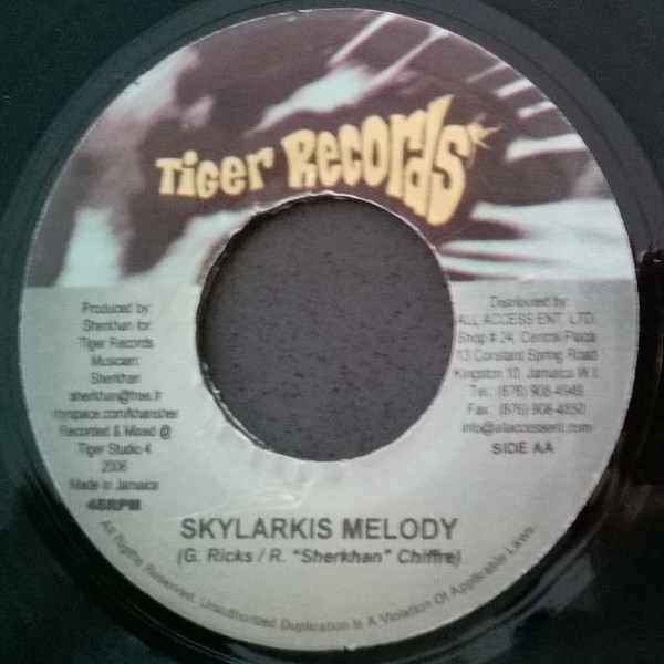 Lutan Fyah : What We Need Is Love Lutan Fyah : What We Need Is Love | Single / 7inch / 45T | Dancehall / Nu-roots