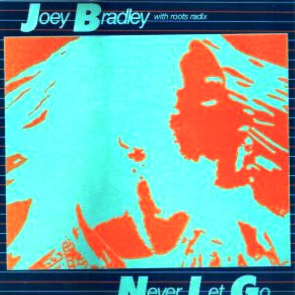 Joey Bradley with Roots Radix : Never Let Go | LP / 33T  |  Oldies / Classics