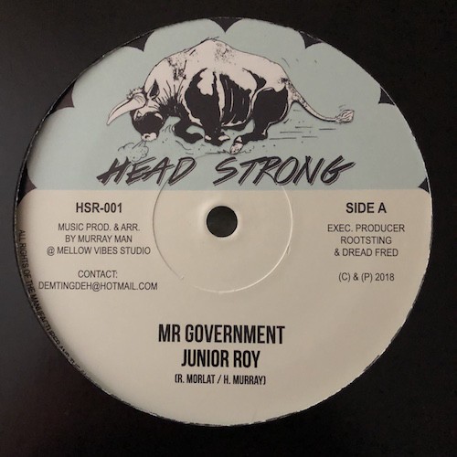 Junior Roy : Mr Government | Maxis / 12inch / 10inch  |  UK