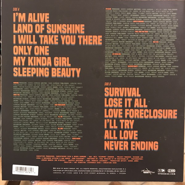 Beres Hammond : Never Ending Beres Hammond : Never Ending | LP / 33T | Dancehall / Nu-roots