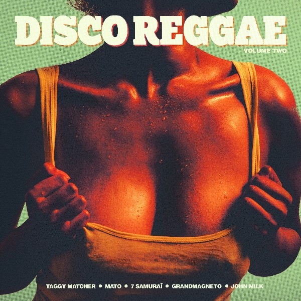 Various : Disco Reggae Vol 2 | LP / 33T  |  Oldies / Classics