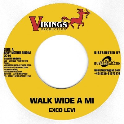 Loyal Flames : Working | Single / 7inch / 45T  |  Dancehall / Nu-roots
