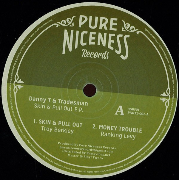 Troy Berkley : Skin & Pull Out Troy Berkley : Skin & Pull Out | Maxis / 12inch / 10inch  |  UK