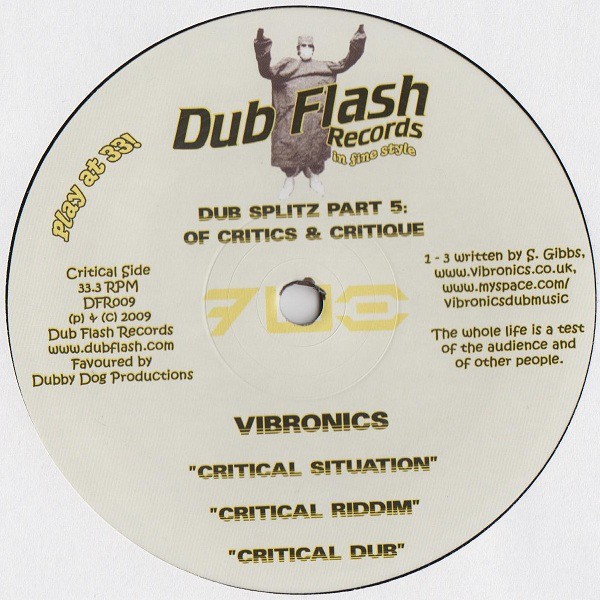 Vibronics : Critical Situation | Maxis / 12inch / 10inch  |  Dancehall / Nu-roots