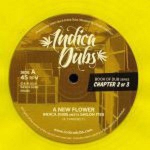 Indica Dubs Meets Shiloh Ites : Book Of Dub Series Chapter 2 of 3 (Yellow )