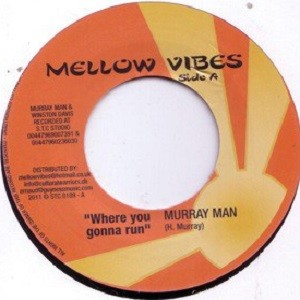 Murry Man : Where You Gonna Run | Single / 7inch / 45T  |  Dancehall / Nu-roots