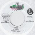 Future Fambo : Shreck | Single / 7inch / 45T  |  Dancehall / Nu-roots