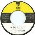 Glen Washington : In The Distance | Single / 7inch / 45T  |  Dancehall / Nu-roots