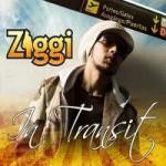 Ziggi : In Transit | CD  |  Dancehall / Nu-roots