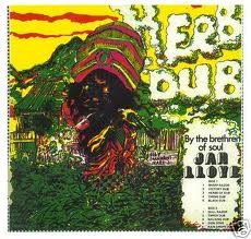 Jah Lloyd : Herb Dub Jah Lloyd | LP / 33T  |  Dub