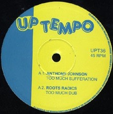 Anthony Johnson : Too Much Sufferation | Maxis / 12inch / 10inch  |  Oldies / Classics