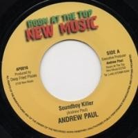Andrew Paul : What A Gwan In A Babylon