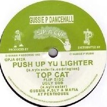 Top Cat : Push Up Yu Lighter | Single / 7inch / 45T  |  Oldies / Classics
