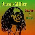 Jacob Miller : I'm Just A Dread | LP / 33T  |  Oldies / Classics