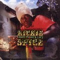 Richie Spice : Spice In Your Life | LP / 33T  |  Dancehall / Nu-roots