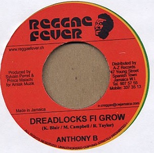 Anthony B : Dreadlocks Fi Grow | Single / 7inch / 45T  |  Dancehall / Nu-roots