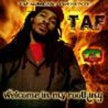 Taf : Welcome In My Roothing | CD  |  FR