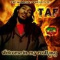 Taf : Welcome In My Roothing Taf : Welcome In My Roothing | CD | FR