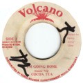 Cocoa Tea : I'm Coming Home | Collector / Original press  |  Collectors