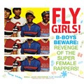 Various : Fly Girl Vol 1 | LP / 33T  |  Afro / Funk / Latin