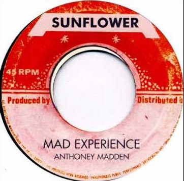 Anthony Madden : Mad Experience