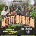 Jah Klyde : Meditation For Brain (vol.16) | CD  |  Various