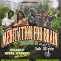 Jah Klyde : Meditation For Brain (vol.16) Jah Klyde : Meditation For Brain (vol.16) | CD | Various