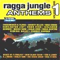 Various : Ragga Jungle Anthems Volume 1 | LP / 33T  |  Dancehall / Nu-roots