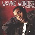 Wayne Wonder : Schyzophrenic | LP / 33T  |  Dancehall / Nu-roots