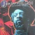 Junior Delgado : Raggamuffin Year | LP / 33T  |  Dancehall / Nu-roots