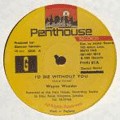 Wayne Wonder : Why Did You | Maxis / 12inch / 10inch  |  Dancehall / Nu-roots