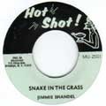 Jimmie Shandel : Snake In The Grass | Collector / Original press  |  Collectors
