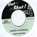 Jimmie Shandel : Snake In The Grass | Collector / Original press  |  Collectors