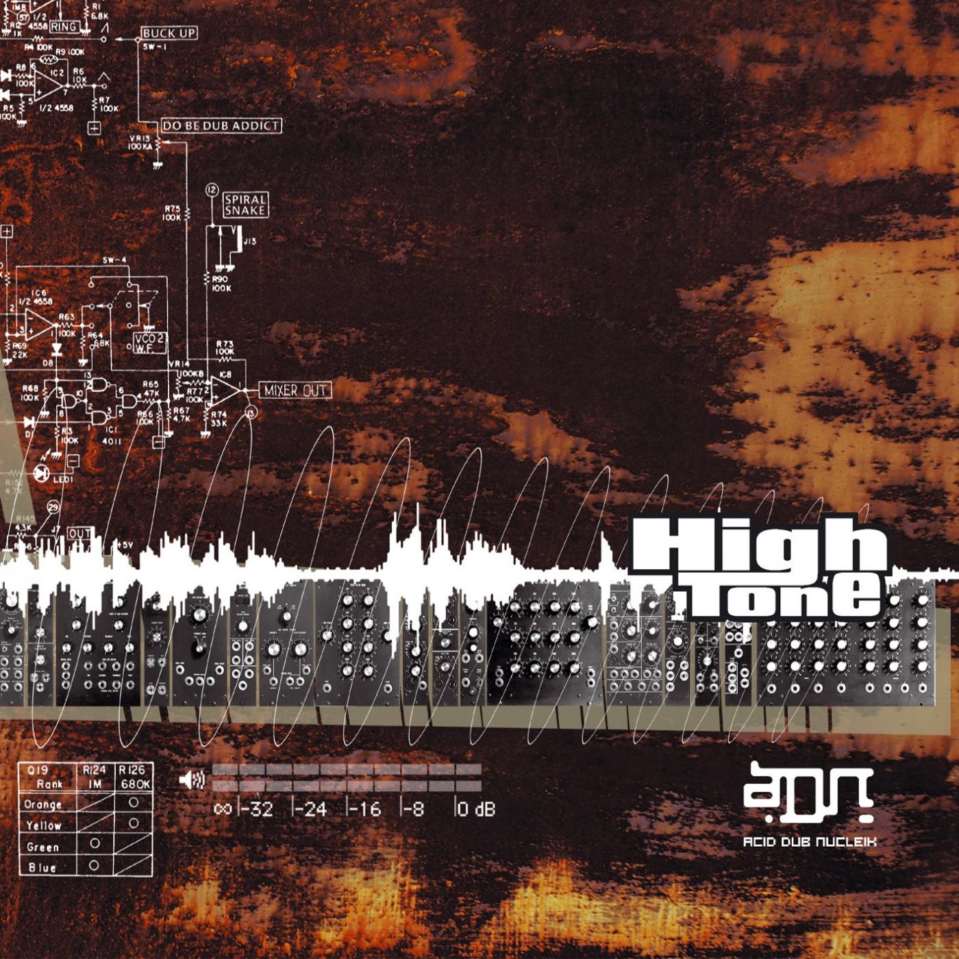 High Tone : Acid Dub Nucleik | LP / 33T  |  Dub