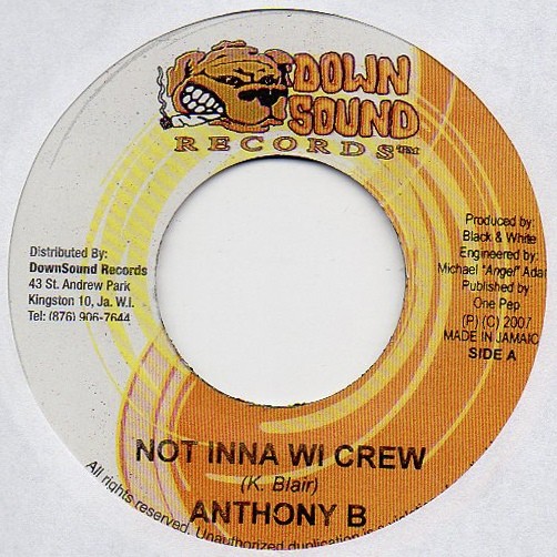 Anthony B : Not Inna Wi Crew | Single / 7inch / 45T  |  Dancehall / Nu-roots