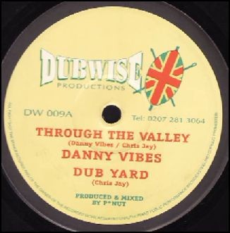 Danny Vibes : Through The Valley | Maxis / 12inch / 10inch  |  UK