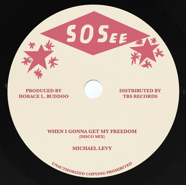 Michael Levy : When I Gonna Get My Freedom | Maxis / 12inch / 10inch  |  Oldies / Classics