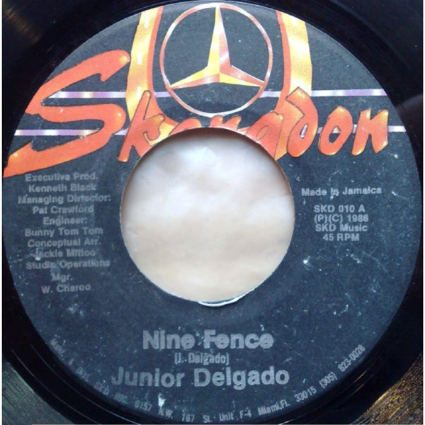 Junior Delgado : Nine Fence