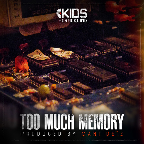 Mani Deïz : Too Much Memory | LP / 33T  |  Ragga-HipHop