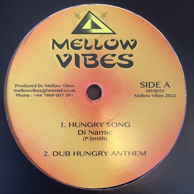 Di Namic : Hungry Song | Maxis / 12inch / 10inch  |  UK