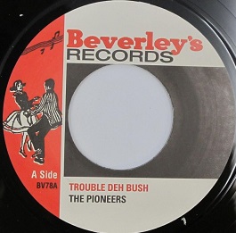 The Pioneers : Trouble Deh Bush
