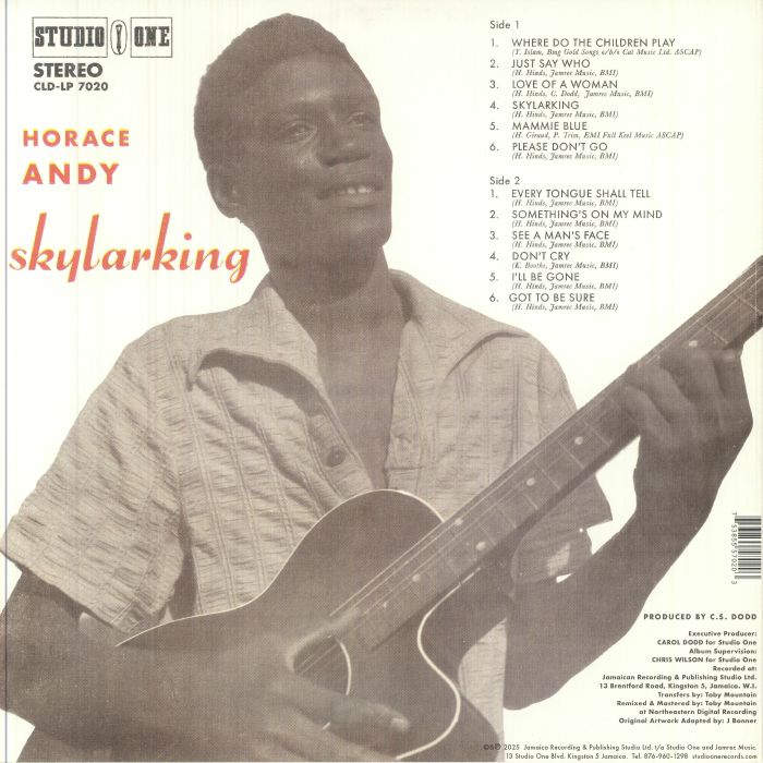 Horace Andy : Skylarking Horace Andy : Skylarking | LP / 33T | Collectors