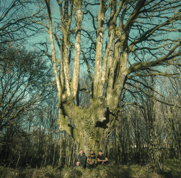 Brais Ninguén & Couto 90 : Roots & Shadows